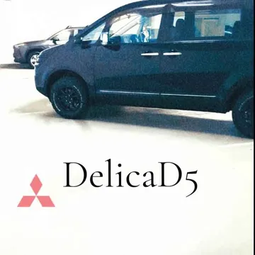 2009 Mitsubishi Delica D5 Chamonix