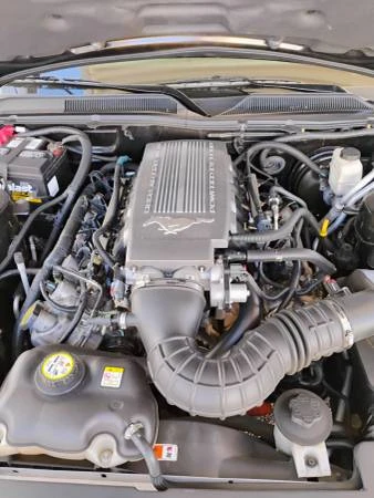 2009 Ford S197 Mustang - Image 8 of 8