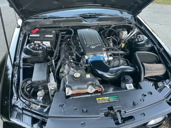 2009 Ford S197 Mustang - Image 19 of 20