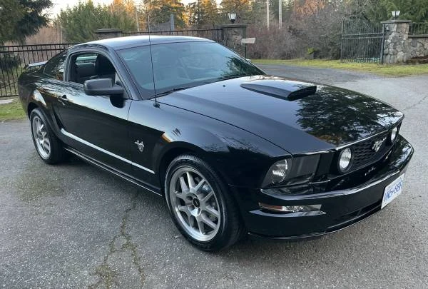 2009 Ford S197 Mustang - Image 20 of 20