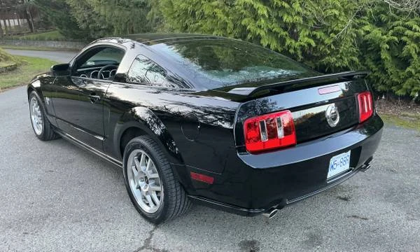 2009 Ford S197 Mustang - Image 16 of 20