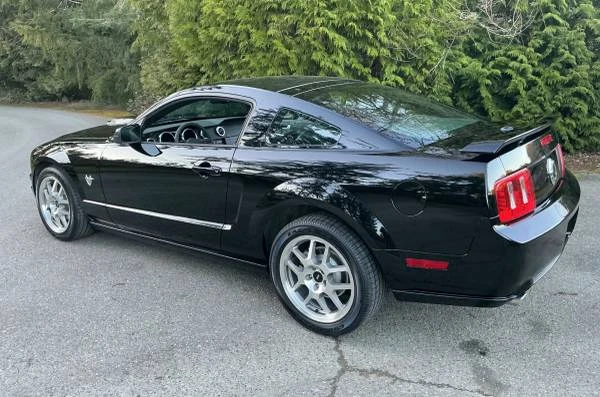 2009 Ford S197 Mustang - Image 15 of 20