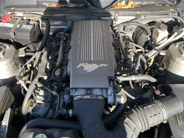 2009 Ford S197 Mustang - Image 6 of 6