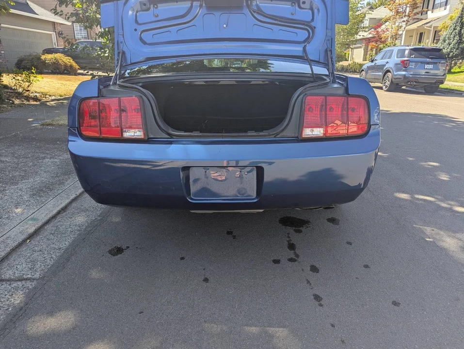 2009 Ford S197 Mustang - Image 7 of 17