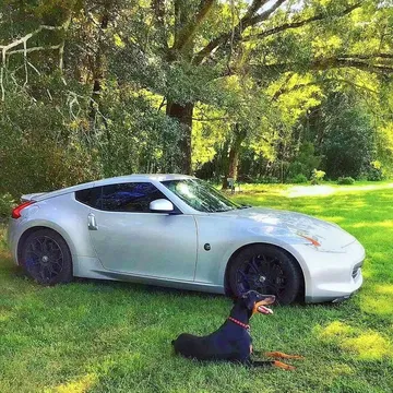 2009 Nissan 370Z Touring Coupe 2D