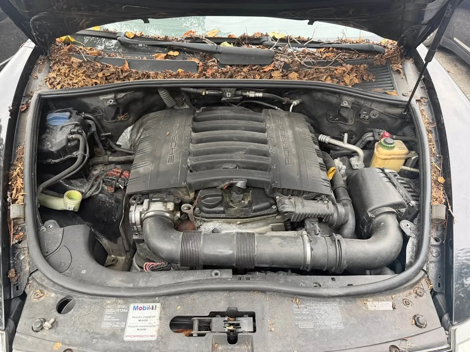 2009 Porsche 955/957 Cayenne - Image 11 of 11