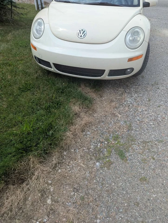 2009 Volkswagen New Beetle - Image 4 of 9