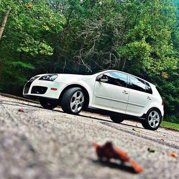 2009 Volkswagen GTI 2.0T