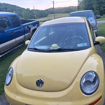 2009 Volkswagen New Beetle 2.5