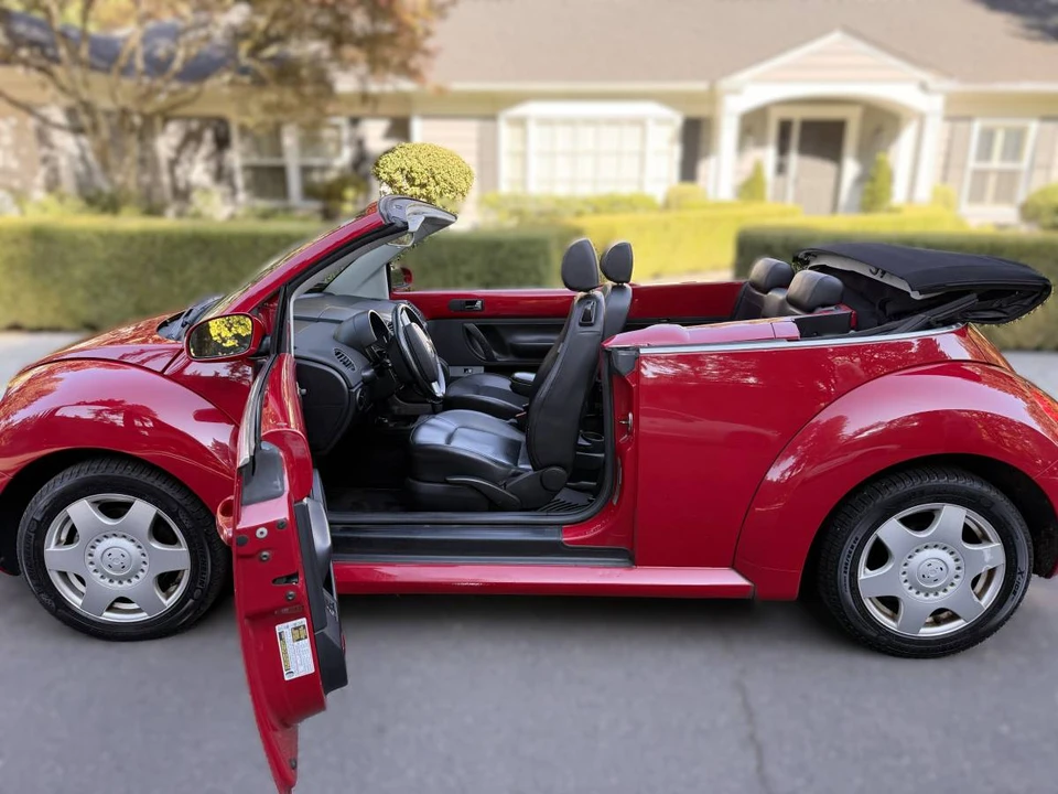 2009 Volkswagen New Beetle - Image 3 of 19