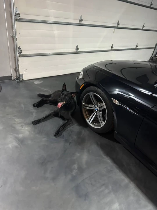 2009 BMW E63/E64 M6 - Image 16 of 16