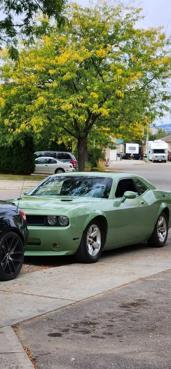 2009 Dodge Challenger 3rd Gen - Image 4 of 5