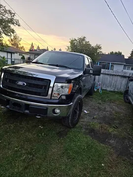 2009 Ford F-150