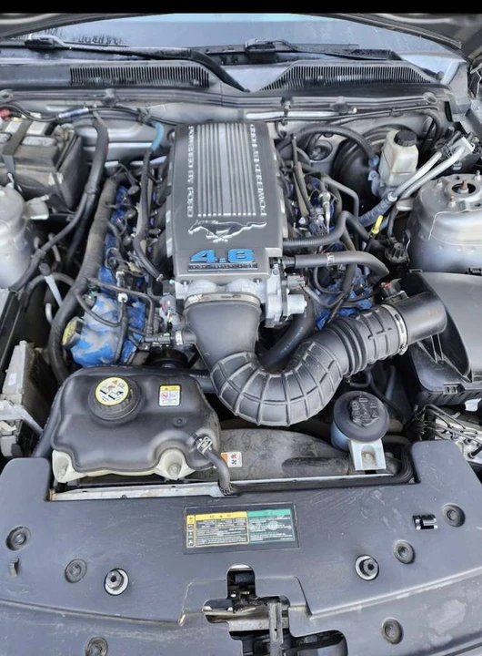 2009 Ford S197 Mustang GT - Image 5 of 8