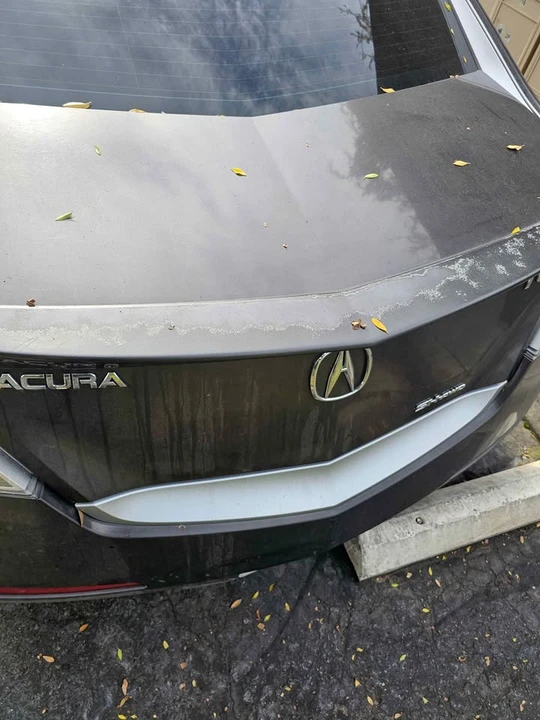 2010 Acura TL 4th Gen - Image 4 of 10