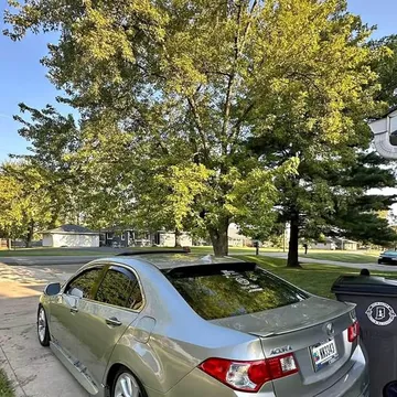 2010 Acura TSX