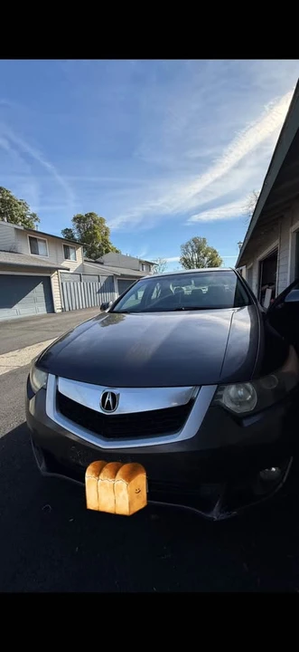 2010 Acura TSX 2nd Gen - Image 8 of 11