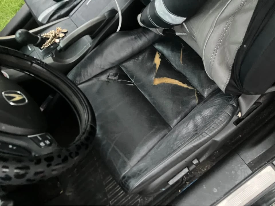 2010 Acura TSX 2nd Gen - Image 14 of 15