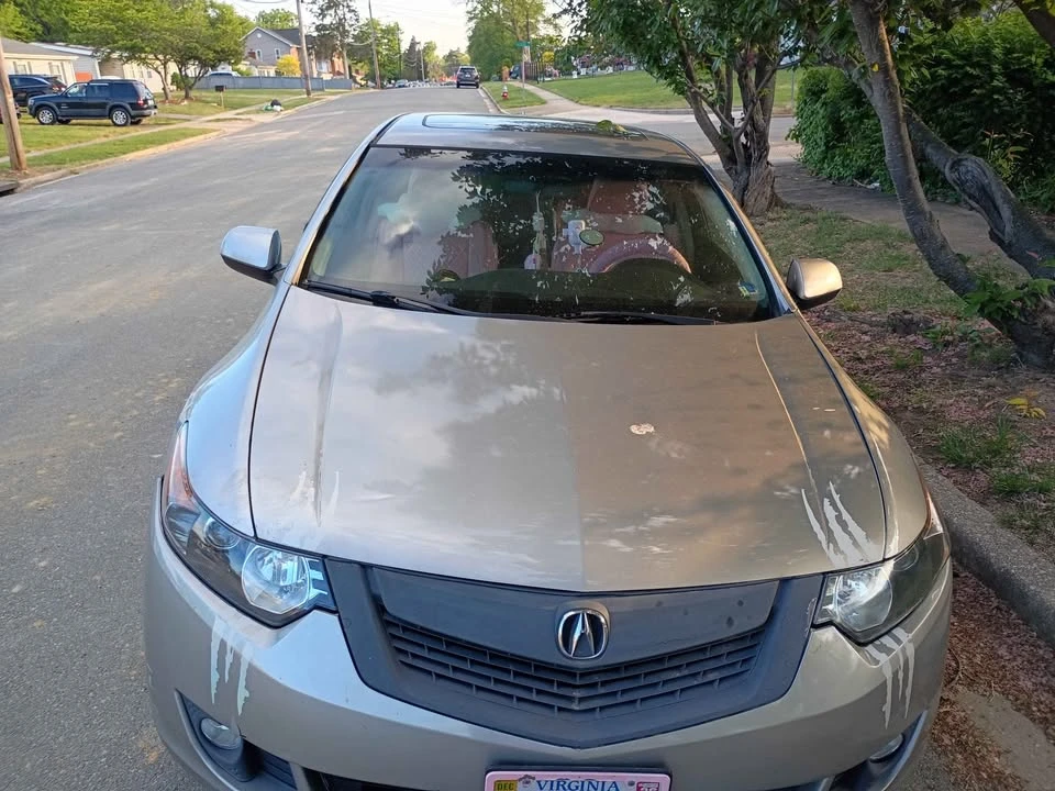 2010 Acura TSX 2nd Gen - Image 4 of 4