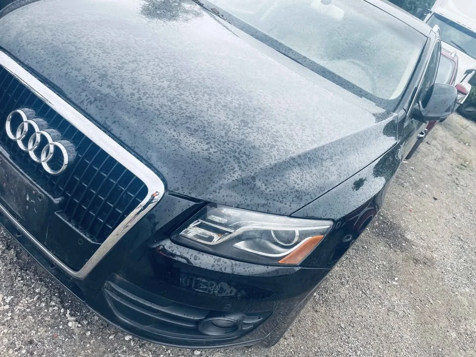 2010 Audi 8R Q5 - Image 2 of 13