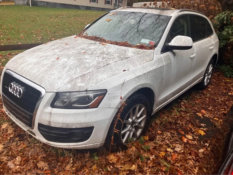 2010 Audi 8R Q5 - Image 2 of 5