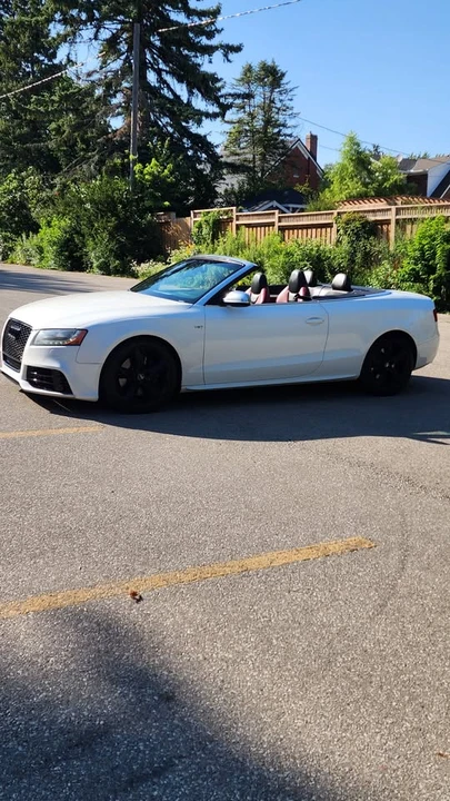 2010 Audi B8 S5 - Image 3 of 20