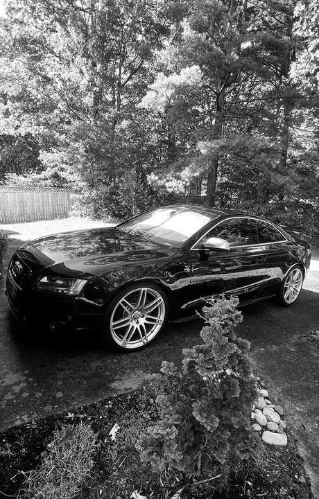 2010 Audi B8 S5 - Image 4 of 30