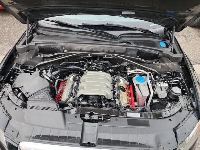 2010 Audi 8R Q5 - Image 19 of 19