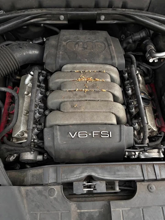 2010 Audi 8R Q5 - Image 2 of 11