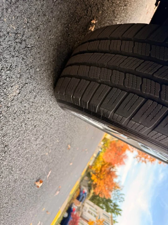 2010 Audi 8R Q5 - Image 11 of 11