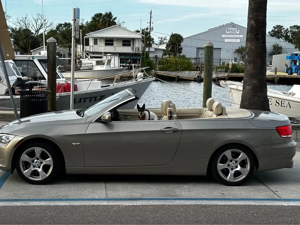 2010 BMW E93 3 Series Convertible - Image 4 of 15