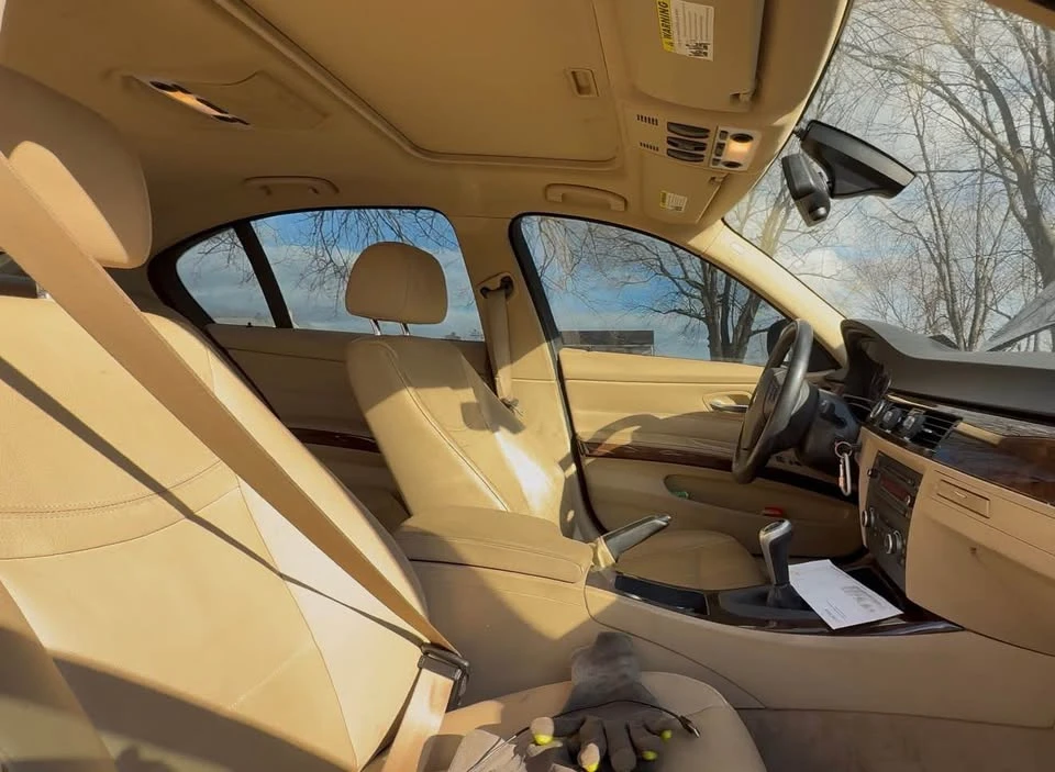 2010 BMW E90 3 Series Sedan - Image 12 of 13