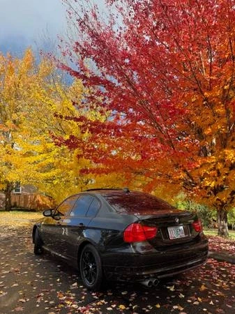 2010 BMW E90 3 Series Sedan - Image 8 of 9