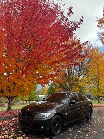 2010 BMW E90 3 Series Sedan - Image 9 of 9