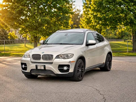 2010 BMW X6