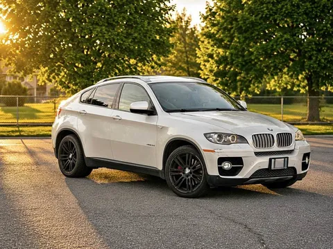 2010 BMW X6