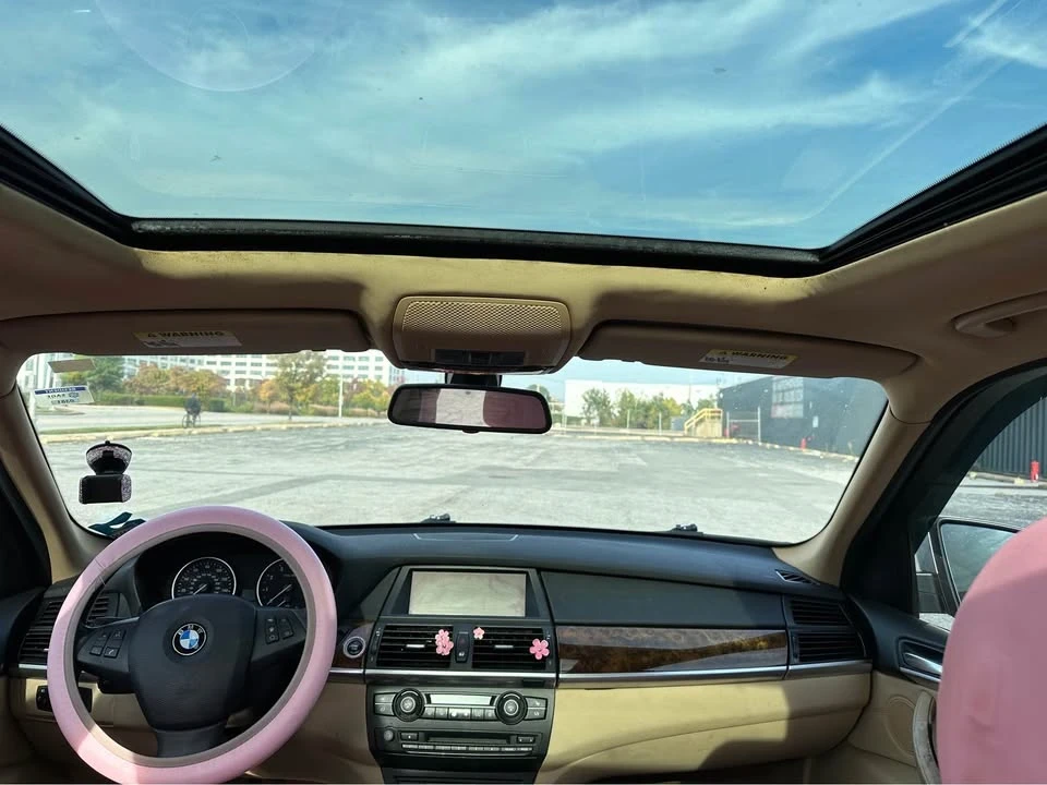 2010 BMW E70 X5 - Image 9 of 9