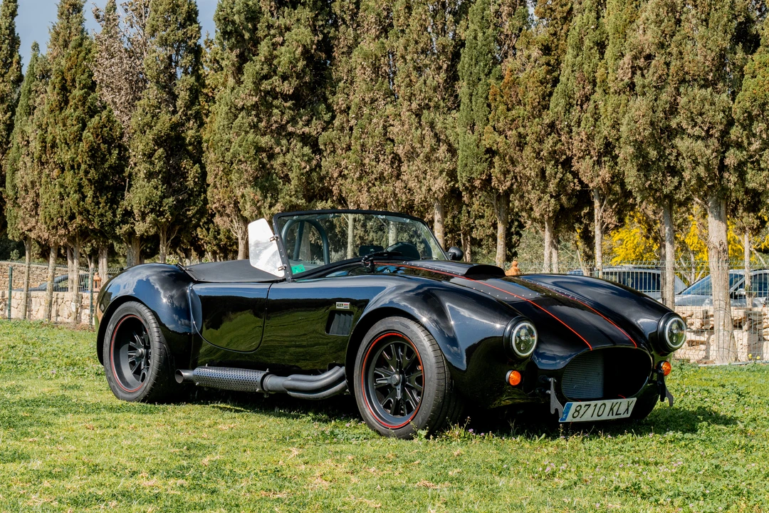 2012 Shelby Cobra Replica - Image 3 of 31