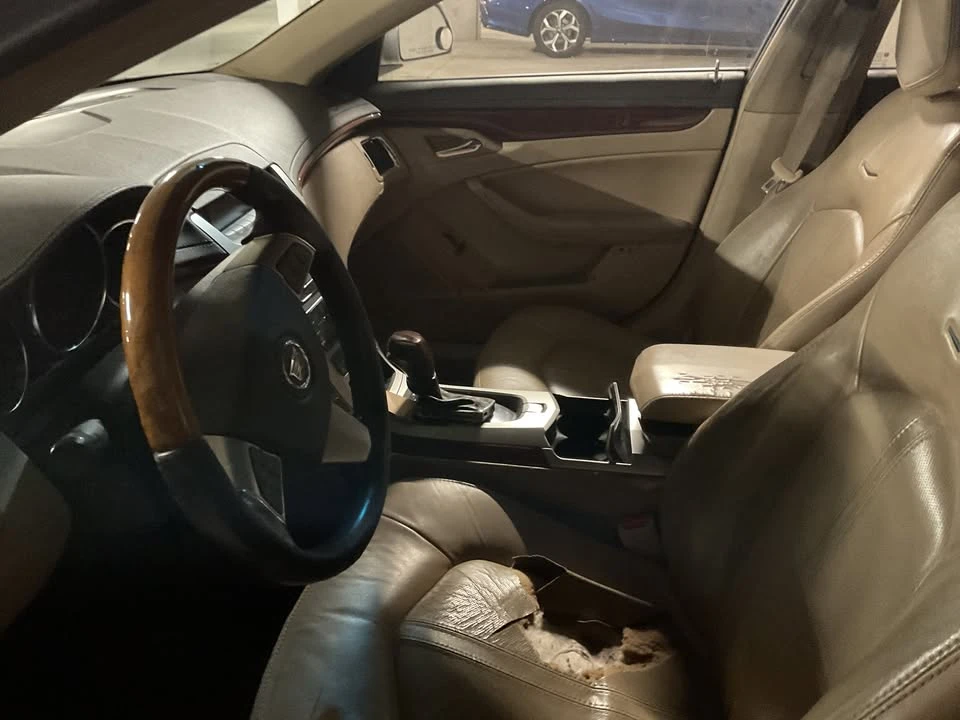 2010 Cadillac DTS - Image 7 of 9
