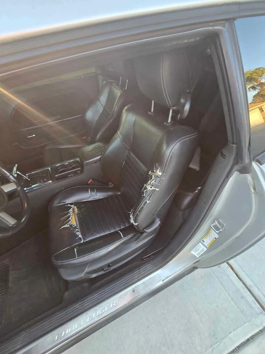 2010 Dodge Challenger 3rd Gen - Image 7 of 10
