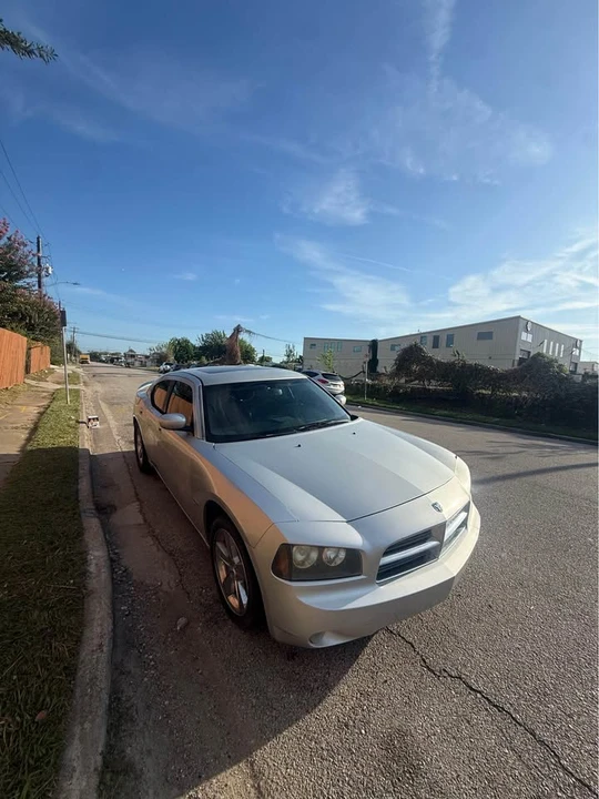 2010 Dodge Charger 6th Gen - Image 6 of 14
