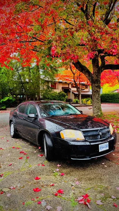 2010 Dodge Avenger Sedan - Image 4 of 4