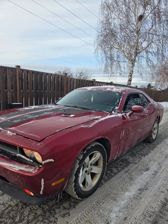 2010 Dodge Challenger 3rd Gen - Image 8 of 12