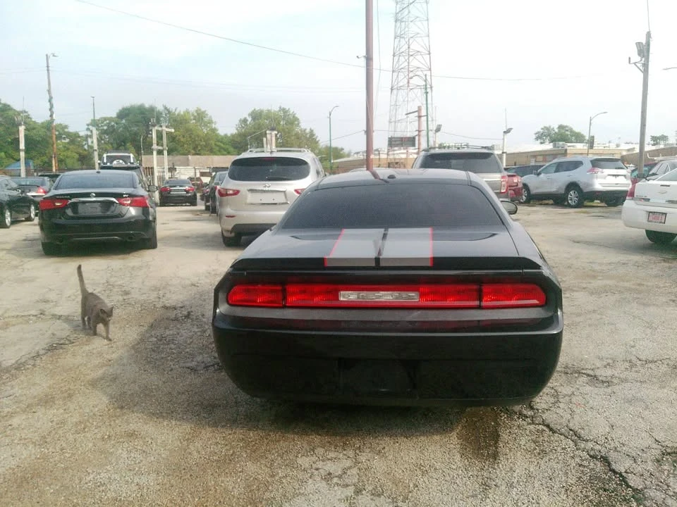 2010 Dodge Challenger 3rd Gen - Image 8 of 20
