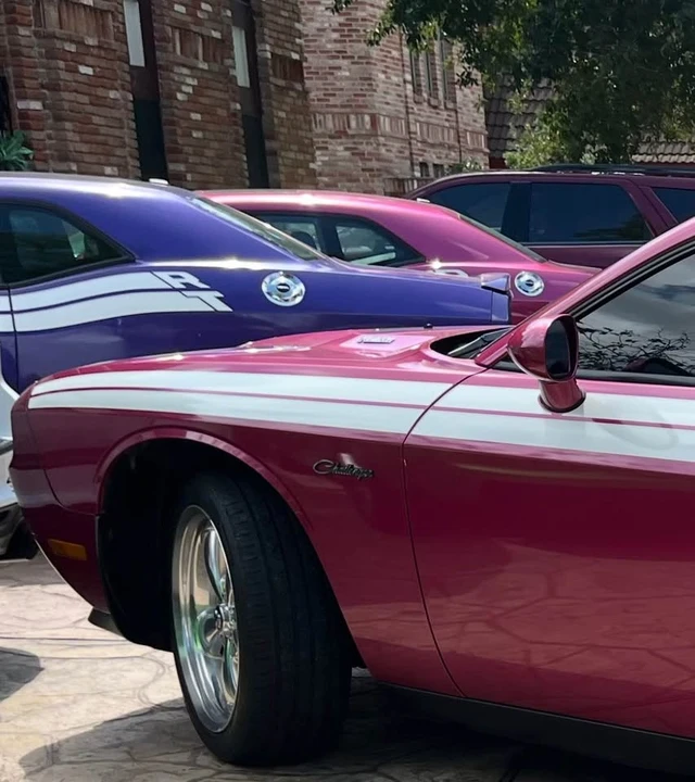 2010 Dodge Challenger 3rd Gen - Image 19 of 19