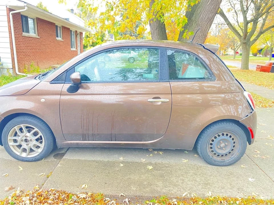 2010 Fiat 500 - Image 3 of 8