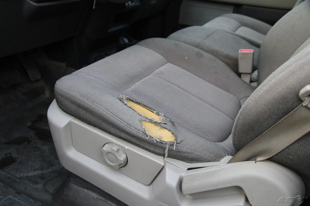 2010 Ford F-150 12th Gen - Image 21 of 21