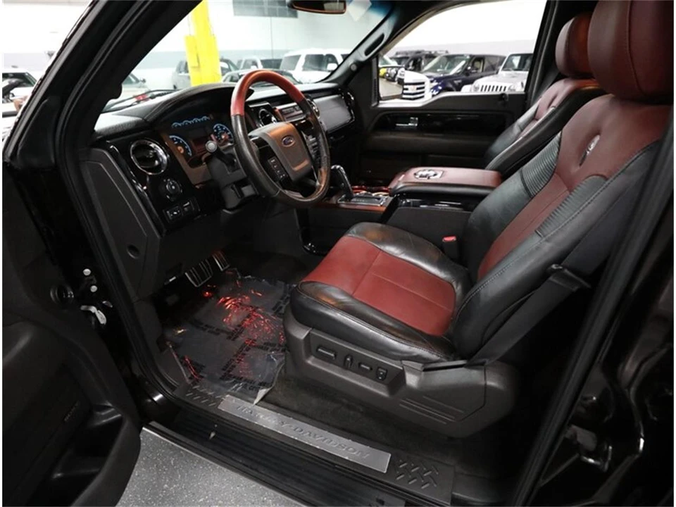 2010 Ford F-150 12th Gen - Image 30 of 31