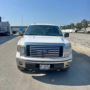 2010 Ford F-150
