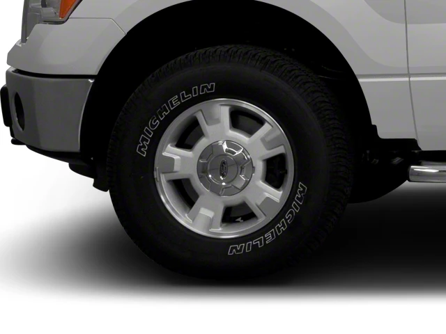 2010 Ford F-150 Raptor 12th Gen - Image 11 of 18